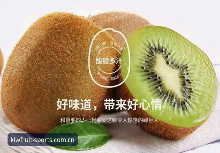奇异果体育数据报告安装教程全面解析：从下载到深度使用的专业指南