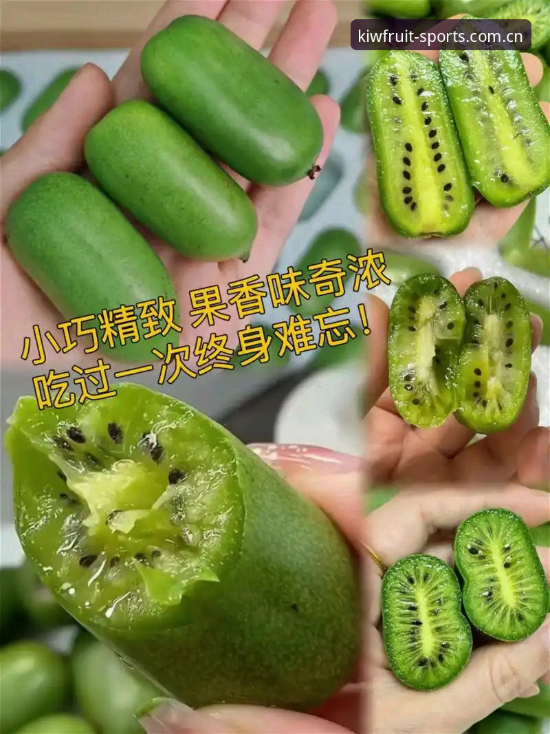 奇异果体育卡顿解决有妙招：5个实用技巧让观赛告别缓冲